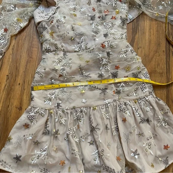 Self-Portrait One-Shoulder Star Embroidered Mesh Ruffle Mini Dress